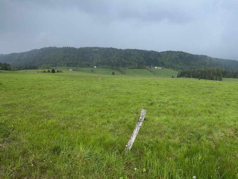 23-05-23 13-33-38 5602